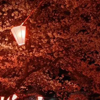 Profile image of 天ノ　甘空