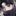 조하준