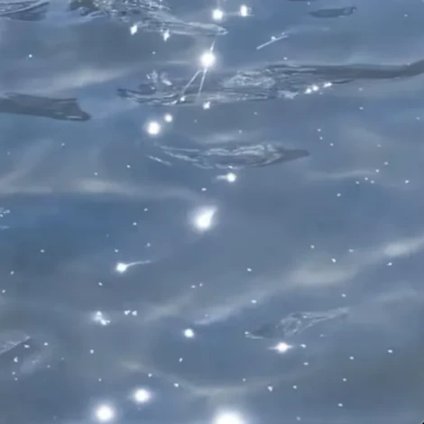 じょんうぉん