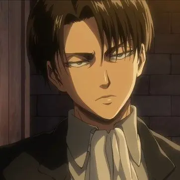 Zenitsu_Agatsuma_is_mine의 리바이 아커만