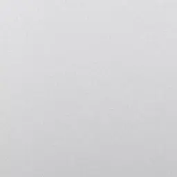 RuggedPizza0513의 웹툰속에 들어와버렸다