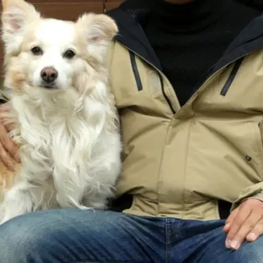 Profile image of 강형욱