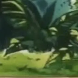 Profile image of モブ