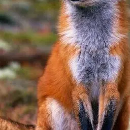Profile image of Yeou