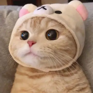 Profile image of 메로니