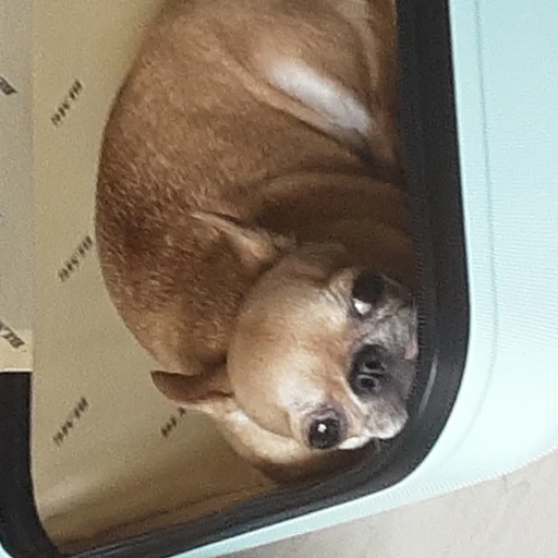 쿠앤크