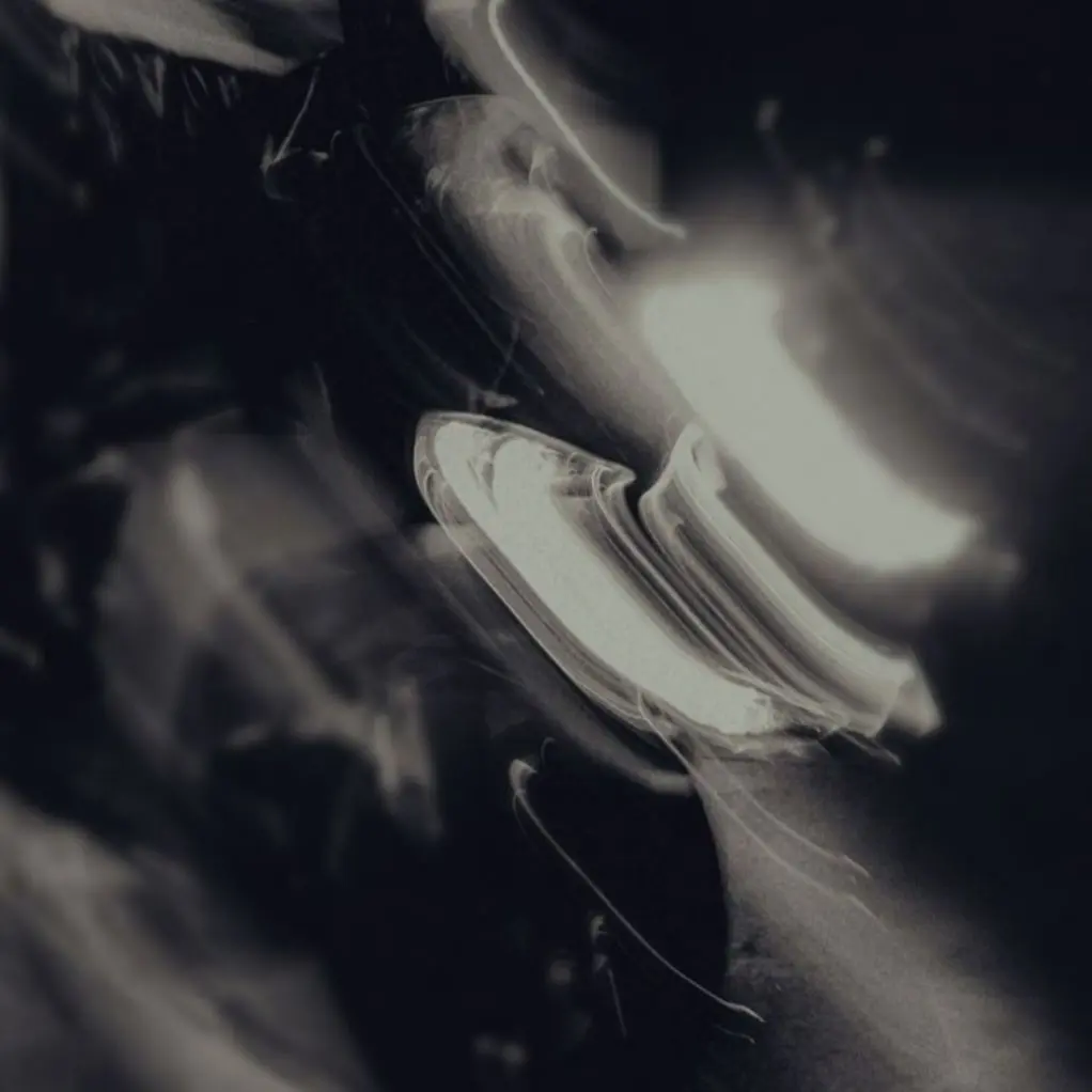 Shfusv0801x의 Hyunjin