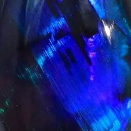 Sh1f0nc4ke의 둘이서 있을까?