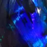 Profile image of 우츠