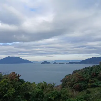 Profile image of 여우