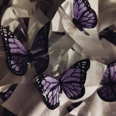 Profile image of 수현