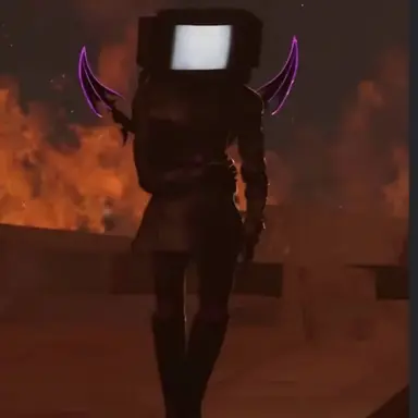 Profile image of TVW