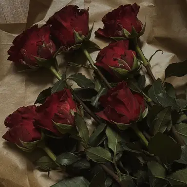 Profile image of 권지용