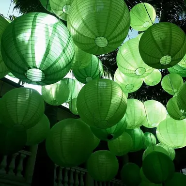 Profile image of 정공룡