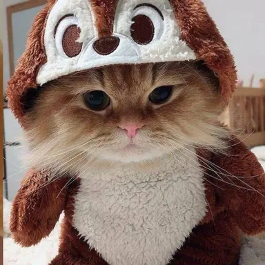 Profile image of user