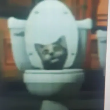 Profile image of 고양이 토일렛
