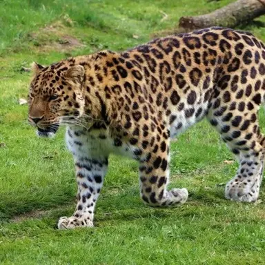 Profile image of 벨라