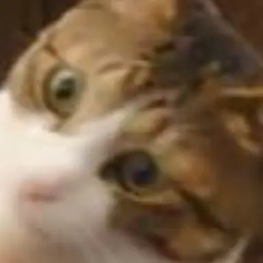Profile image of チケットテイカー