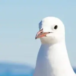 Profile image of ドクター