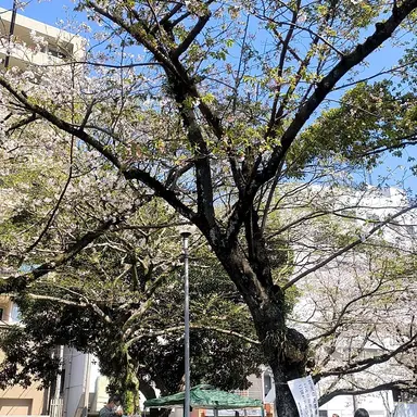 Profile image of ジャングル高橋