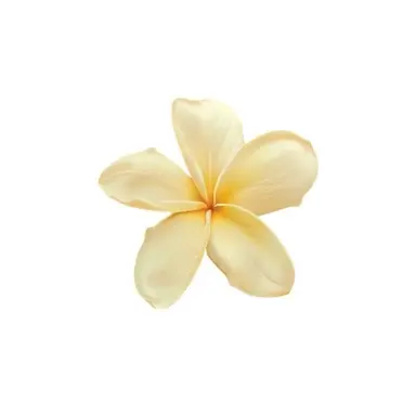 Profile image of 진토