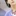 大森 元貴