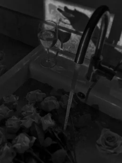 coconutcat의 동물병원에 보간+비요🖤🤍🖤🤍
