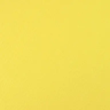 Profile image of シャオロン