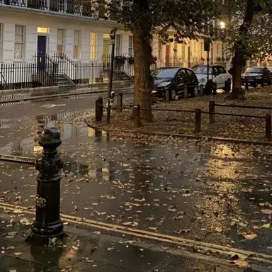 Profile image of 이태한