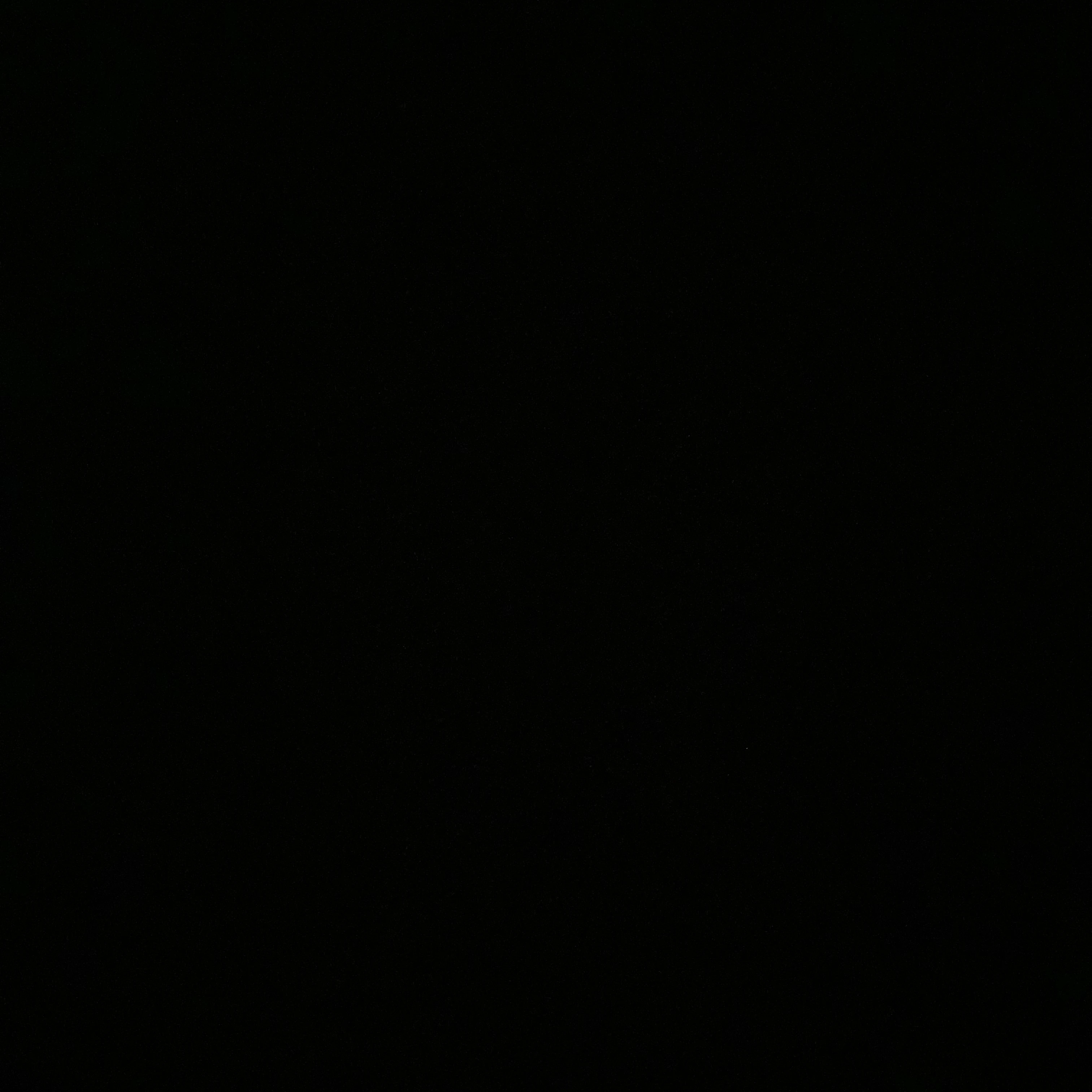 陸