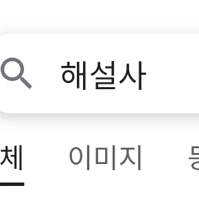 해설사