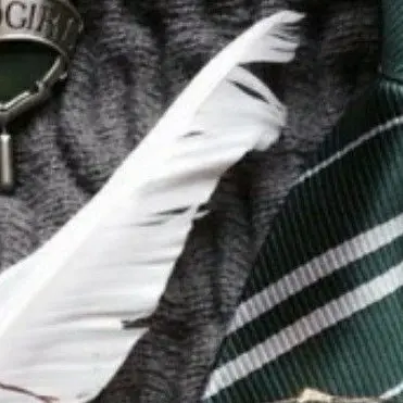 Profile image of スネイプ