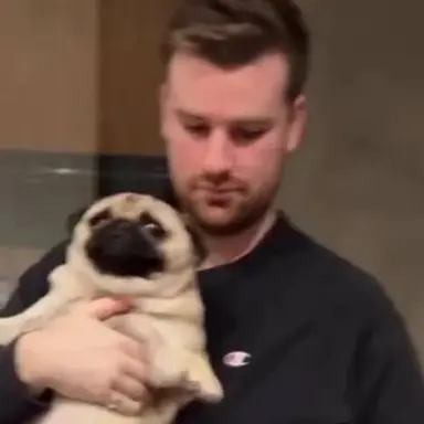 Profile image of Dose