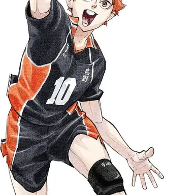Profile image of 日向翔陽