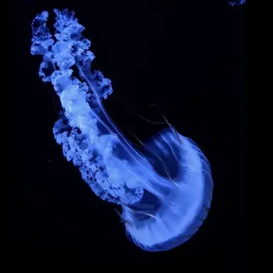 Profile image of 박슬기