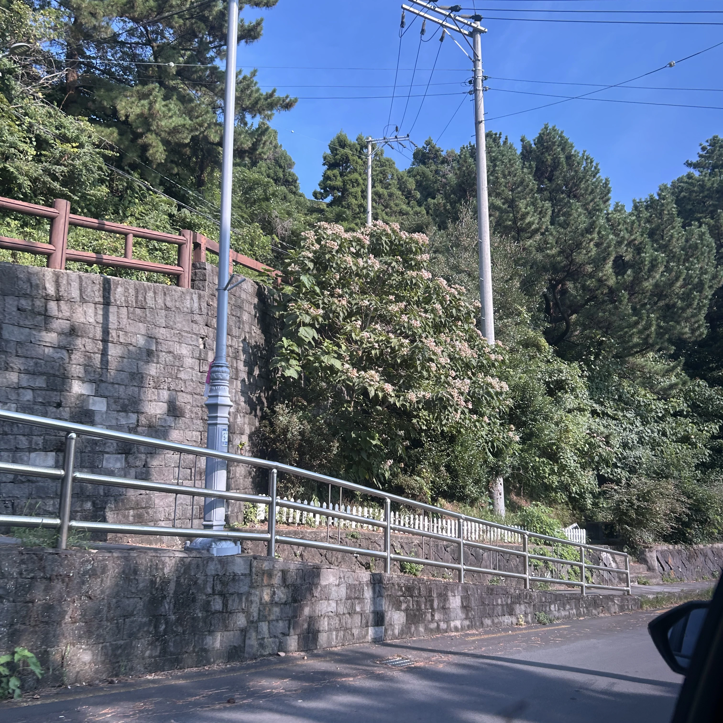 김건우