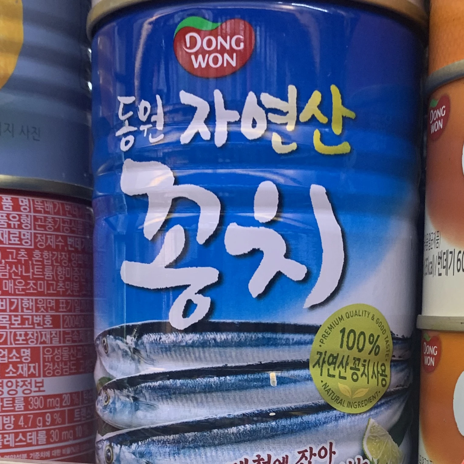 꽁치