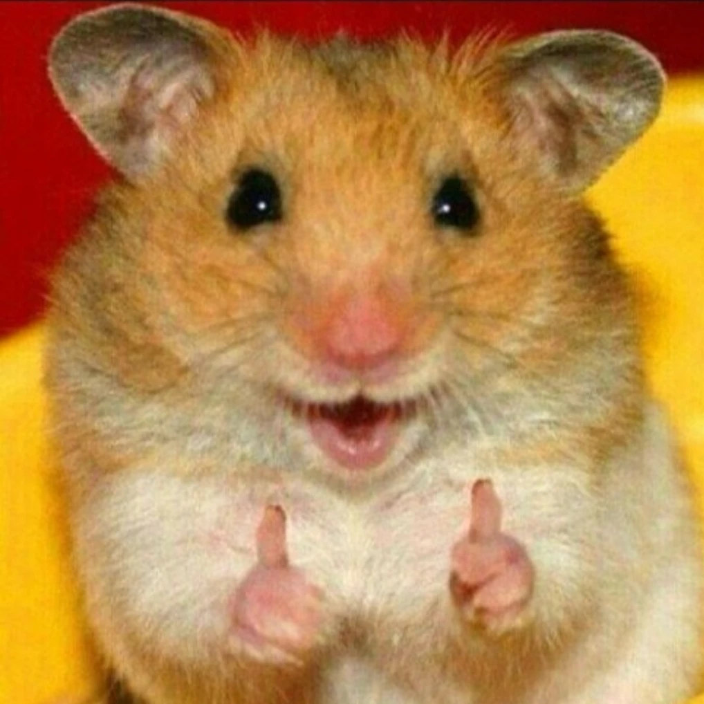 햄찌