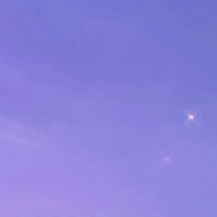 김여우