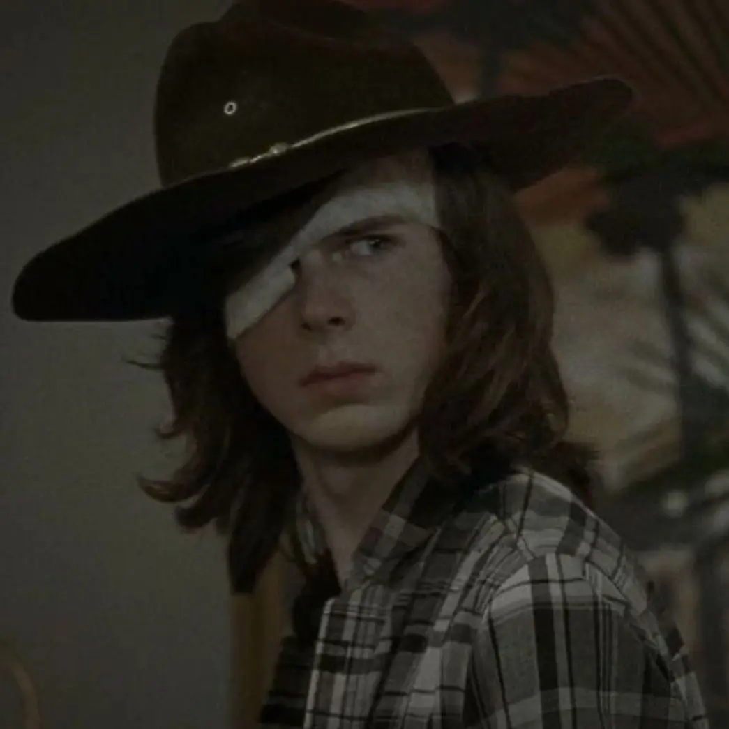 Stephdavis_bad0mens의 Carl Grimes