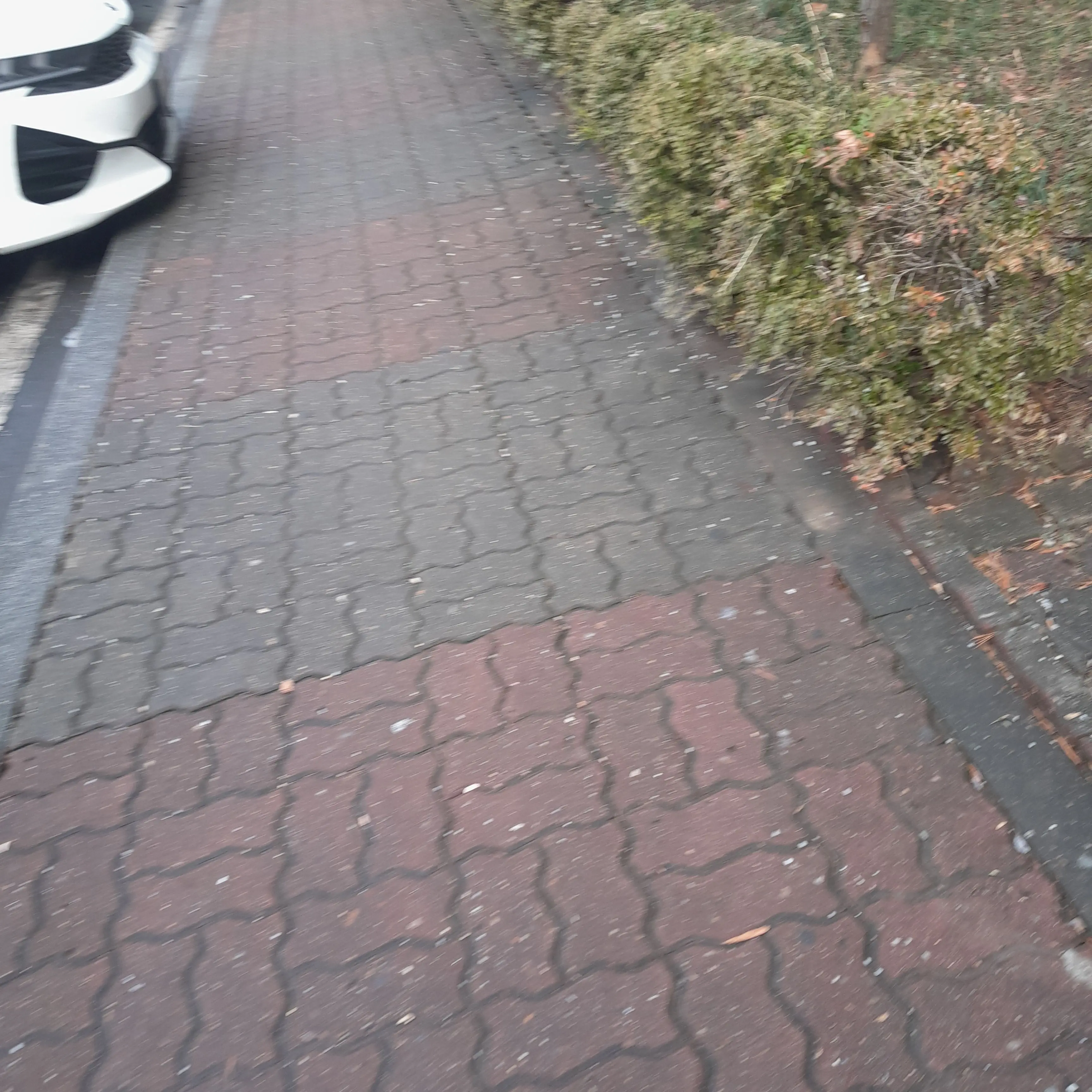 EvilSteam3607의 악마×천사