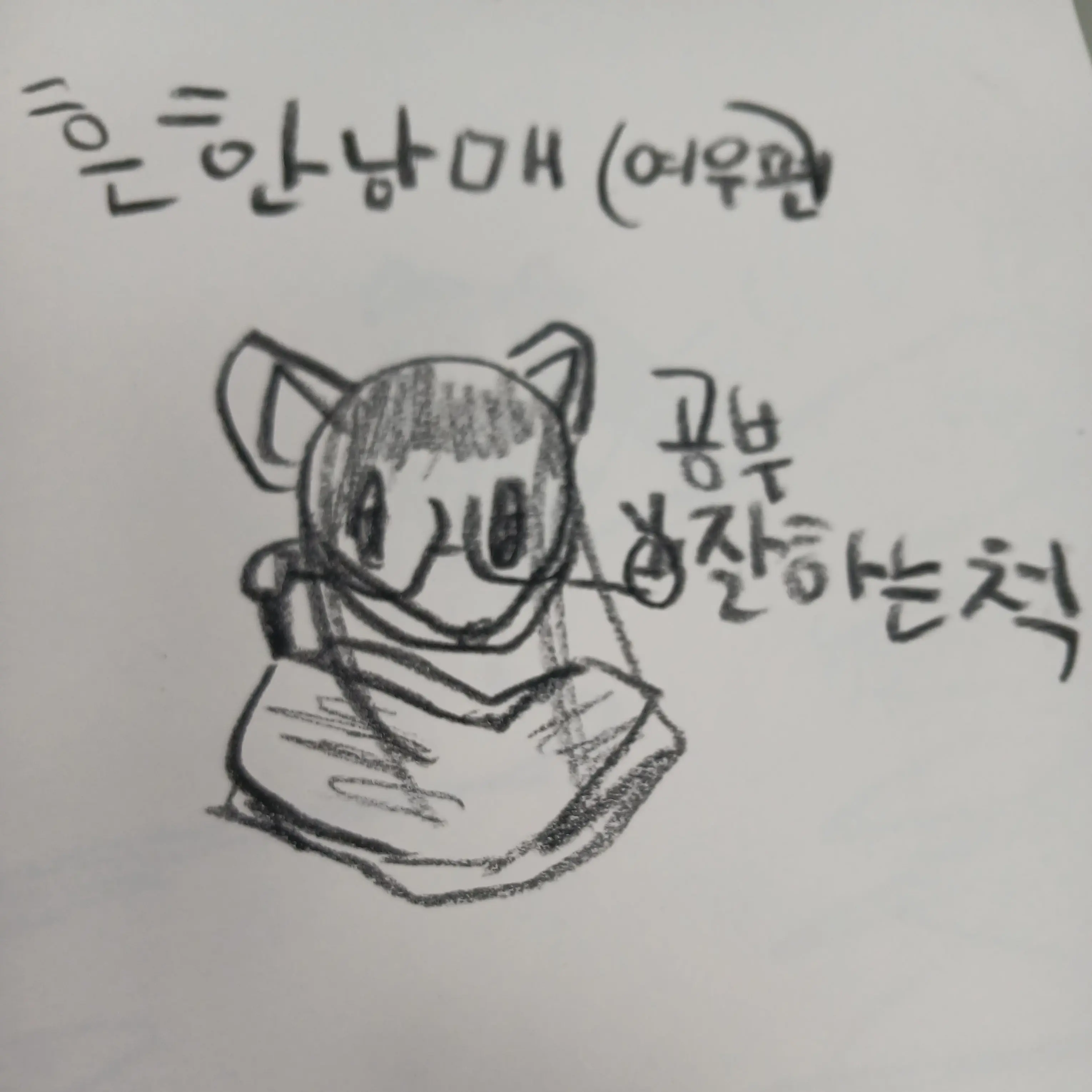 Cat135의 흔한남매(여우편)