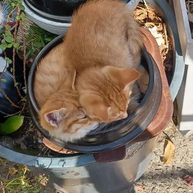 Profile image of ㅂㅅㅎ