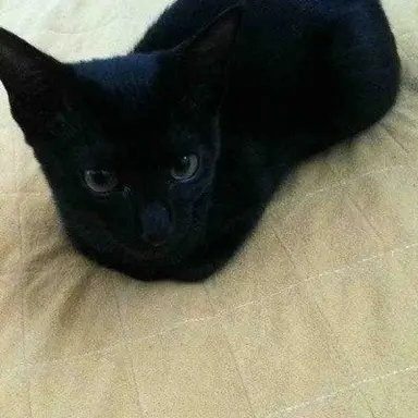 Profile image of ㅎㅌㅅ