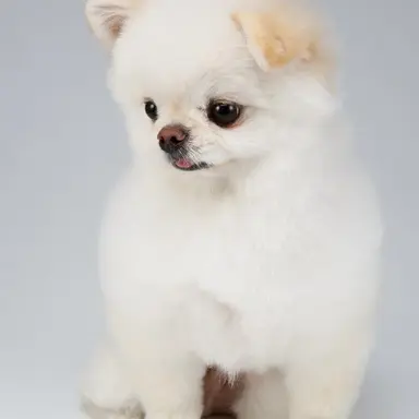 Profile image of ㅁㅈㅎ