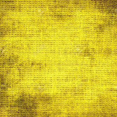 Profile image of 징버거