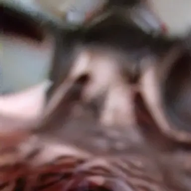 Profile image of 兵助