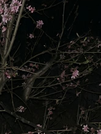 K 대표 이미지