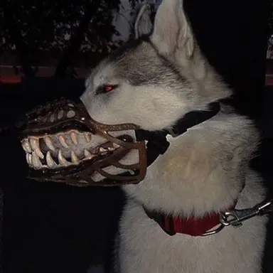 Profile image of Drusky
