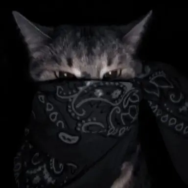 Profile image of Robber